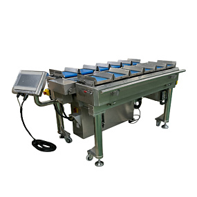 Станок для взвешивания продукции TY-ZHZ121P160-01-14